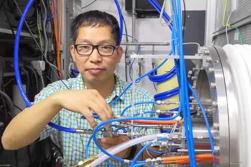 在线视频凤鸣鸟唱,探寻自然和谐之美