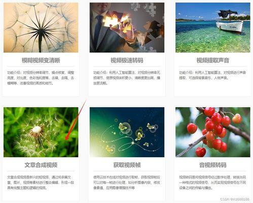 小说在线视频剪辑制作,穿越时空的视觉盛宴