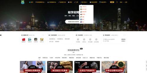 在线视频那种网站,内容丰富，操作便捷，畅享视听盛宴